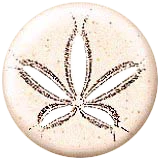 eder holding logo